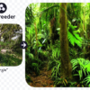 『artbreeder』AI Render Intensityを変化させ、近所の林を徐々にジャングルにする！