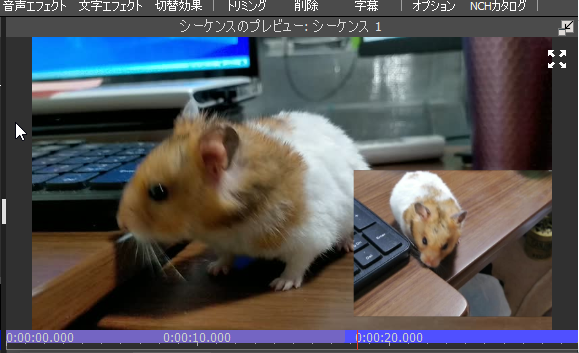 【VideoPad】マルチカメラ撮影した動画を同期(シンク)する方法
